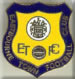 Eastbourne Town FC Enamel Badge