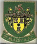 St Blazey AFC Enamel Badge