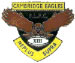 Cambridge Eagles RLFC Enamel Badge